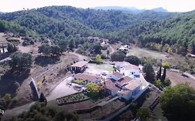 La Rejertilla